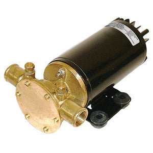 Johnson Impellerpumpe F4B-19 24V-1
