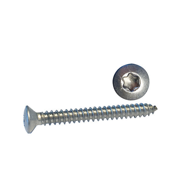 Selvskærende skruer m/linsehoved, ISO14587 / A4 TORX 100 stk.-12
