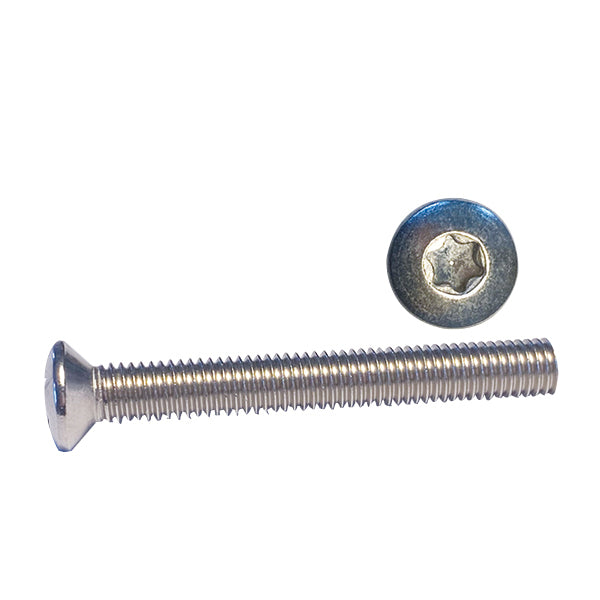 Maskinskruer m/linsehoved ISO14584 / A4 TORX 2-10 stk-5