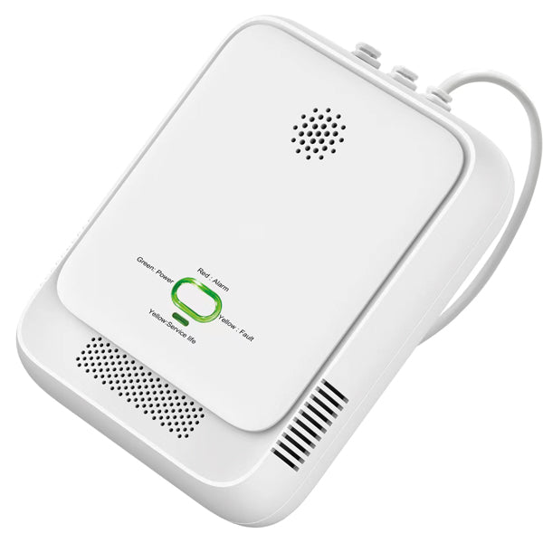 1852 Gas alarm-2