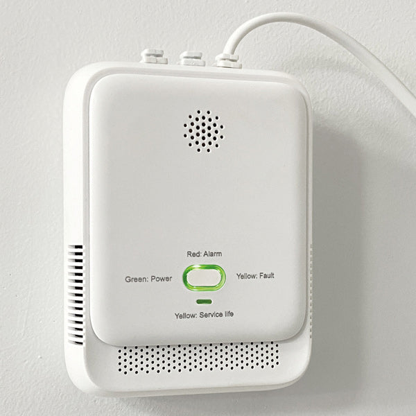 1852 Gas alarm-3