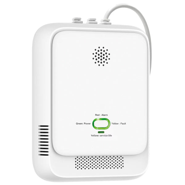 1852 Gas alarm-1