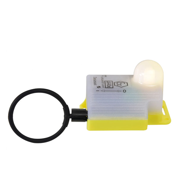 Lampe for dan-buoy-1