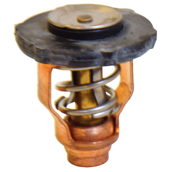 Termostat til Yamaha OEM 6FP-12411-00-1