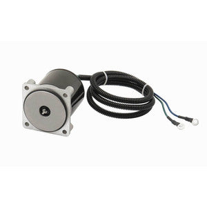Sierra Tilt/Trim Motor. Suzuki-1