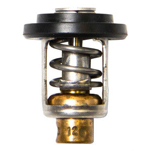 Sierra Termostat 50gr. Yamaha-1