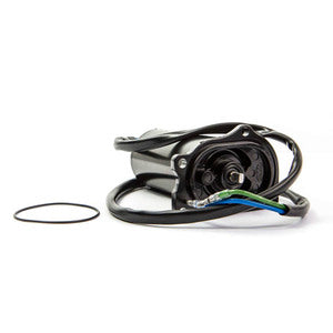 Sierra Tilt/Trim Motor. Mercury/Force-1