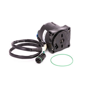 Sierra Tilt/Trim Motor. Honda-1