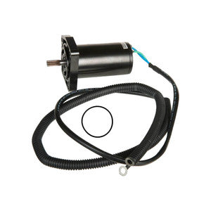 Sierra Tilt/Trim Motor. Yamaha-1