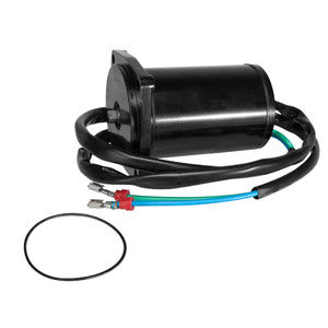 SierraTilt/Trim Motor. Evinrude/Johnson